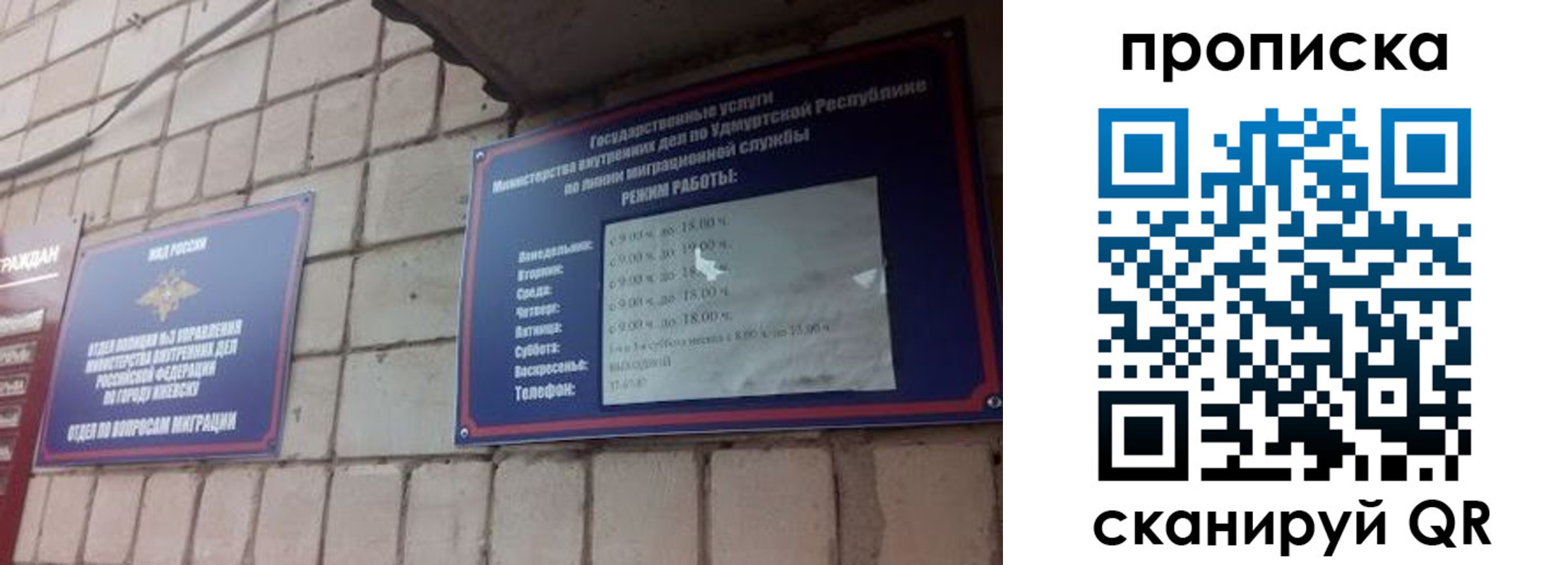 прописка 2025 в Щиграх